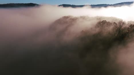 Travelling-along-a-cliff-with-mist-at-sunrise,-pine-and-oak-forest-in-the-Dordogne