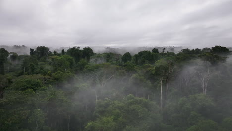 Vista-Aérea-Por-Drones-De-La-Selva-Tropical-Brumosa-En-Guyana