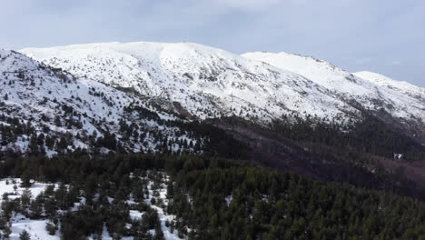 Aerial-view-of-beautiful-mountain-forest-slopes-snow-covered-mountain-peak-at-the-distance-winter-day