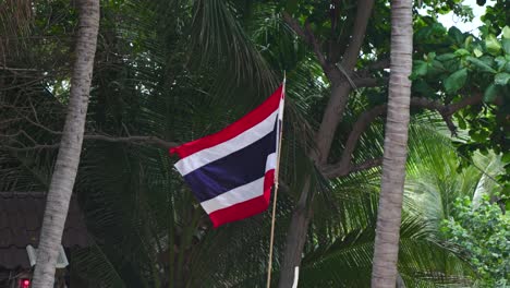 Die-Nationalflagge-Thailands-Weht-Vor-Einer-Tropischen-Dschungelkulisse