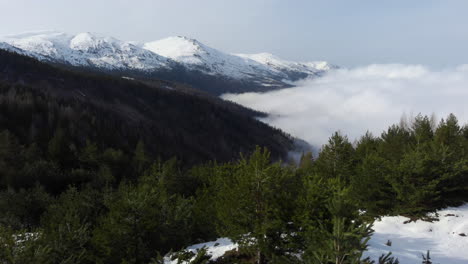 Aerial-view-of-beautiful-mountainside-forest-slopes-covered-in-floating-clouds-snow-covered-mountain-peak-at-the-distance-day