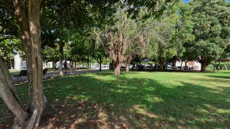 People-strolling-among-the-trees-of-the-landscaped-park,-the-terrace-of-the-bar-in-the-background-in-the-shade,-sunny-summer-day,-descriptive-shot