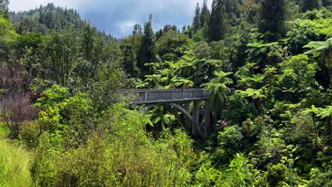 Plano-Amplio-De-Una-Mujer-Caminando-Por-Un-Puente-Y-Mirando-Por-Encima-Del-Borde-En-Una-Exuberante-Selva-Tropical-En-Un-Día-Lluvioso