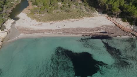 Aerial-Drone-Fly-Cala-Trebaluger-virgin-white-sand-beach-in-Menorca-Spain-Travel-Natural-Spot