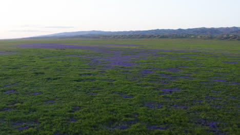 Aerial-view-of-vast-open-grassland,-glistening-bed-of-white-salt,-Soda-Lake-rimmed-by-mountains