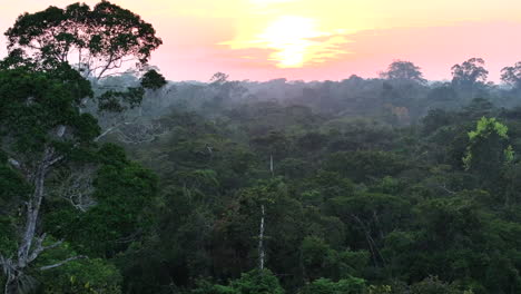 Volando-Sobre-Una-Densa-Selva-Tropical-Durante-El-Atardecer