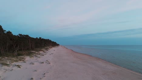 Aerial-Birdseye-View-of-Baltic-Sea-Coast-on-a-Sunny-Day,-Seashore-Dunes-Damaged-by-Waves,-Broken-Pine-Trees,-Coastal-Erosion,-Climate-Changes,-Wide-Angle-Drone-Shot