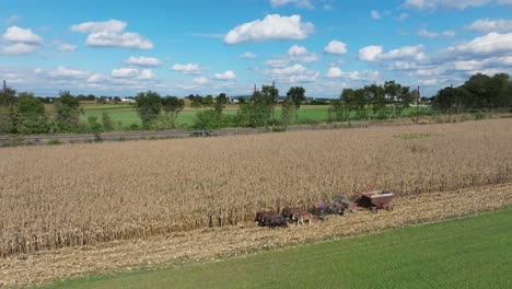 Altbewährte-Erntemethoden-In-Einer-Ruhigen-Ländlichen-Landschaft,-Wenn-Die-Herbstfarben-Auftauchen