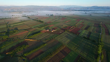 La-Granja-Europea-Despierta:-Los-Vibrantes-Colores-Primaverales-Iluminan-Las-Parcelas-Agrícolas-Al-Amanecer-En-Una-Mañana-Serena