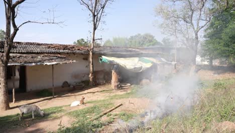 Casa-De-Pueblo-Indio-Y-Animales-En-Cámara-Lenta