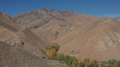 Drone-footage-of-a-remote-mountainscape-with-brown-foothills-and-a-valley-of-fall-foliage-trees-in-the-Frank-Church-River-of-No-Return-Wilderness-of-Idaho