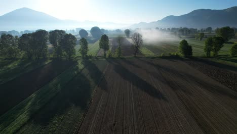 Nebliger-Morgen-In-Getreideparzellen,-Schatten-Mystischer-Nebel-In-Der-Ferne-Mit-Der-Silhouette-Der-Berge-Im-Hintergrund