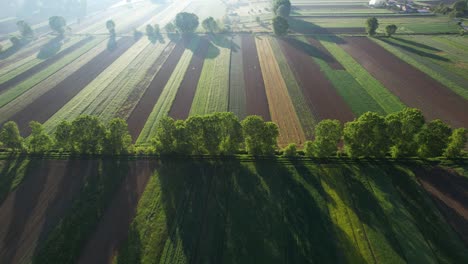 Luz-Del-Sol-De-La-Mañana-De-Primavera-Iluminando-Parcelas-Agrícolas-En-Los-Campos-Con-Plantas-En-Tierras-Coloridas,-Toma-Aérea