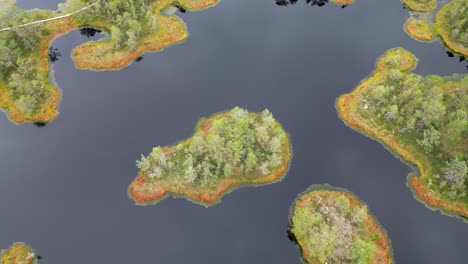 Luftaufnahme-Von-Bunten-Orangefarbenen-Und-Grünen-Inselchen-Auf-Einem-Schwarzen-Moorsee