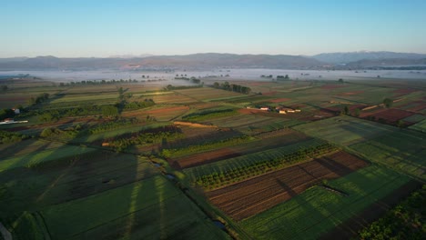 Resplandor-Del-Amanecer:-La-Luz-Del-Sol-Ilumina-Parcelas-Agrícolas-En-Tierras-Cultivadas-Atendidas-Por-Agricultores