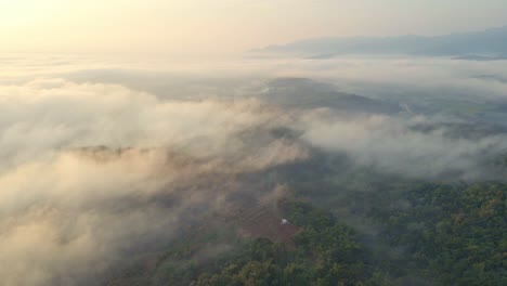 Luftaufnahme-Des-Tropischen-Regenwaldes,-Der-Morgens-Von-Nebel-Umhüllt-Ist