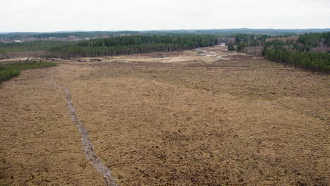 Wide-Peatland-Surrounded-by-Forest,-Nordic-Carbon-sink,-Aerial-Dolly