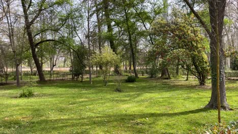 beautiful-garden-area-in-the-Jardin-de-el-Principe-with-green-grass-soil,-there-is-a-variety-of-bushes-and-amazing-large-trees,-you-can-see-people-walking-and-in-the-background-a-brick-wall-Aranjuez