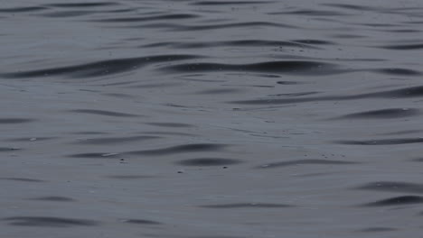 Slow-moving-water-surface,-grey-and-calm-with-small-waves-and-ripples-and-bubbles