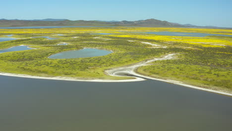 Drone-view-captures-stunning-view-of-Soda-Lake-at-Carrizo-Plains,-California,-shows-beauty-of-earth-nature.