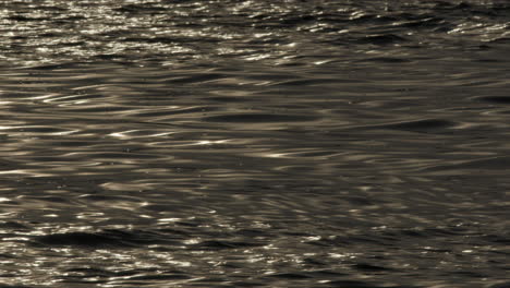 Kräuselung-Der-Goldenen-Wasseroberfläche-Mit-Reflektiertem-Sonnenlicht