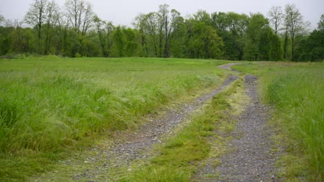 A-gravel-stone-road-going-through-a-green-field-of-grass