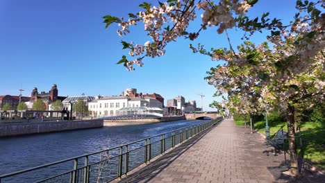 Hermoso-Paisaje-Primaveral-Con-Flores-Durante-El-Día-Soleado-En-Malmö,-Cámara-Lenta