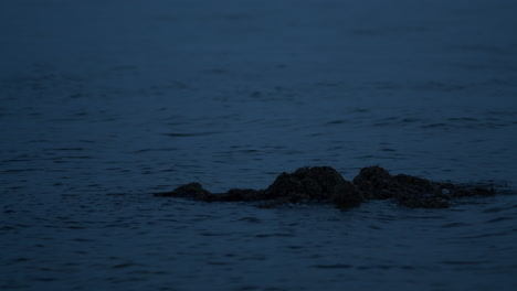 Water-flowing-round-rock-at-sea-in-dark-evening-light,-slow-motion