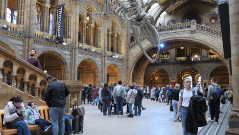 Besucher-Erkunden-Die-Große-Halle-Des-Natural-History-Museum-In-London