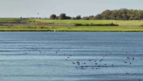 Aufnahme-Eines-Sees,-Der-Während-Einer-Überschwemmung-In-Zeeland-Entstanden-Ist,-Mit-Einem-Langen-Objektiv