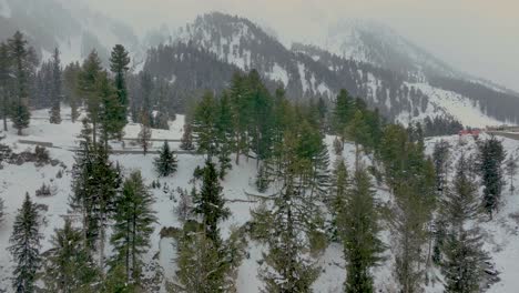 Aerial-View-Of-Snow-Covered-Naltar-Valley-Landscape-With-Trees