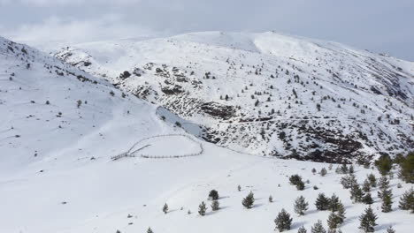 Drohnenansicht-Der-Wunderschönen-Berghänge-Voller-Nadelbäume,-Die-Mit-Schnee-Bedeckt-Sind,-Am-Tag-In-Der-Ferne