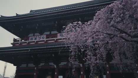 Die-Haupthalle-Des-Sensoji-Tempels,-Buddhistischer-Tempel-In-Asakusa,-Tokio,-Japan