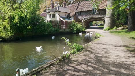 Tira-Del-Ferry-Gatehouse,-Río-Wensum,-Con-Cisnes-De-Norwich