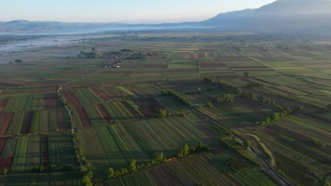 Feld-In-Nebel-Gehüllt-Von-Den-Ersten-Strahlen-Des-Sonnenaufgangs-Beleuchtet,-Hervorhebung-Landwirtschaftlicher-Parzellen