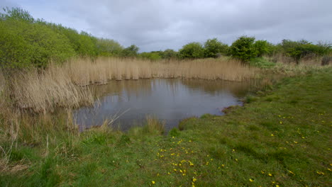 Wide-shot-of-a-lake-pond-at-Theddlethorpe,-Dunes,-National-Nature-Reserve-at-Saltfleetby