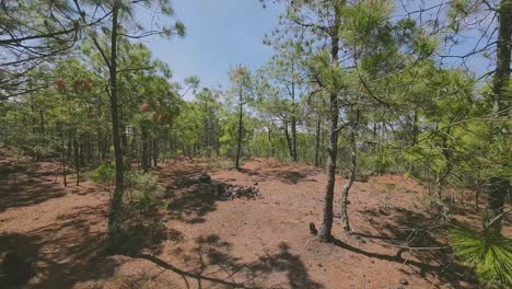 Wunderschöne-Drohnenansichten-Des-Vulkankraters-Und-Der-Wanderwege-In-Perote,-Veracruz,-Mexiko