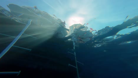 Wasserlichtreflexion-Von-Oben-über-Der-Skyline,-Taucher-Gehen-Aus-Dem-Pool