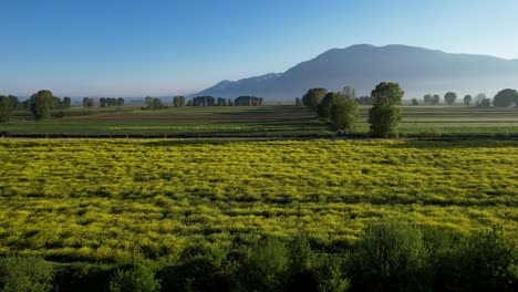 Wunderschöne,-Farbenfrohe-Getreideparzellen,-Die-Einen-Atemberaubenden-Hintergrund-Auf-Den-Feldern-Am-Frühlingsmorgen-In-Korca,-Albanien,-Bilden