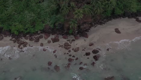 Viele-Bäume-Sind-Hinter-Dem-Strand-Sichtbar