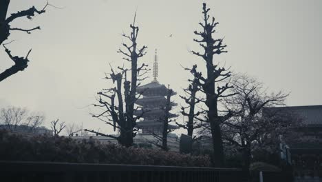 A-View-Of-The-Popular-Asakusa-Shrine-And-Sensoji-Temple-With-The-Five-Storied-Pagoda-In-Tokyo,-Japan