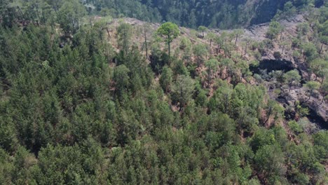 beautiful-drone-views-of-the-Volcancillo-crater-and-trails-in-Perote,-Veracruz,-Mexico