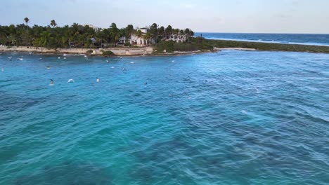 Drone-shot-of-akumal-bay-and-seagulls-flying-over-the-sea