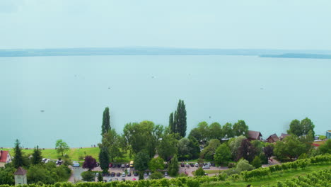 Perfectly-aligned-rows-in-a-vineeyard-lead-directly-to-empty-hazy-lake