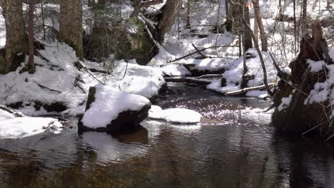 Arroyo-De-Montaña-Alimentado-Por-Nieve-Derretida-En-Cámara-Lenta