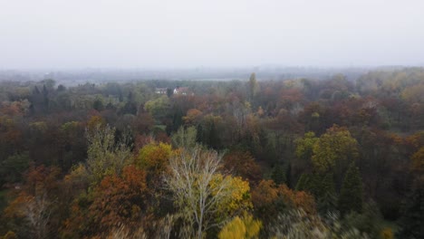 Entspannung-Inmitten-Der-Natur,-Schwebend-über-Dem-Arboretum-In-Kecskemet,-Ungarn