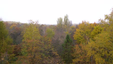 Natur-Am-Stadtrand,-Arboretum,-Kecskemet,-Ungarn