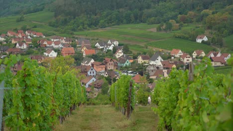 Die-Weinbaugemeinde-An-Der-Weinstraße,-Riquewihr,-Hat-Derzeit-1228-Einwohner-Und-Ist-Mitglied-Der-Vereinigung-Der-Schönsten-Dörfer-Frankreichs.