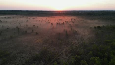 Sonnenaufgang-Strahlen-Und-Lange-Goldene-Schatten-Im-Nebel,-Wald-Moor,-Niedrige-Überführung