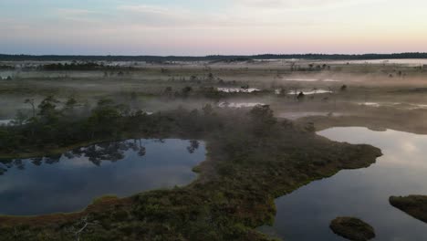 Low-flyover-of-tannin-black-water-foggy-bog-moor-in-northern-Estonia